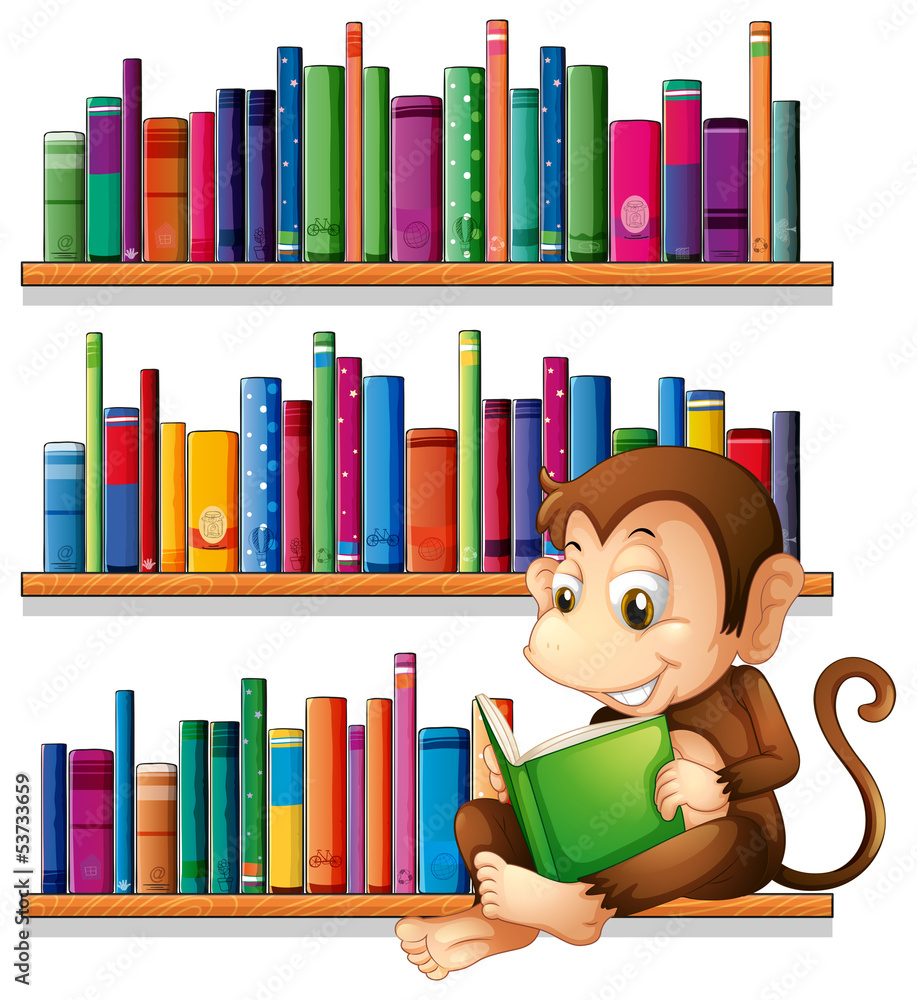 Poster a monkey reading in front of the bookshelves