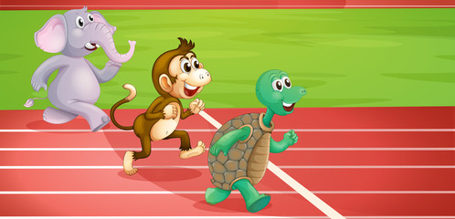 A turtle, a monkey and an elephant running