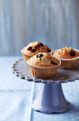 Cranberry Muffins
