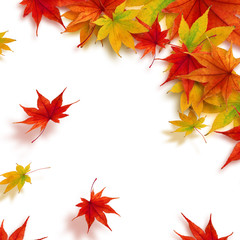 紅葉のフレーム　秋