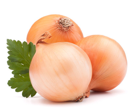 Onion Vegetable Bulb And Parsley Leaves Still Life