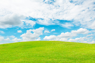 Obraz na płótnie Canvas Background of sky and grass