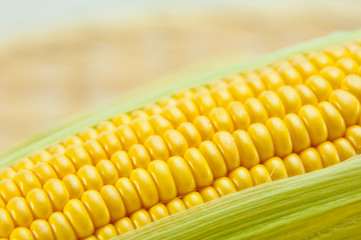 トウモロコシ