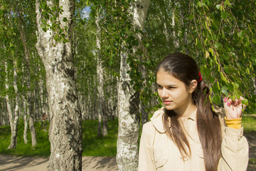 A girl walks in the birch forest.