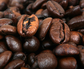 Coffee bean