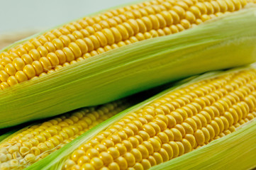 トウモロコシ