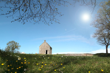 Naklejka premium Paysage de campagne