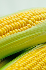 トウモロコシ