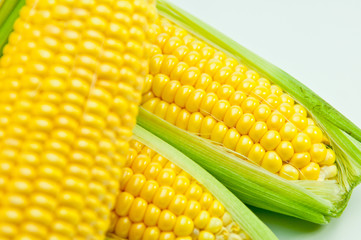 トウモロコシ