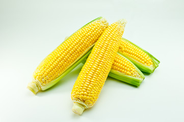 トウモロコシ