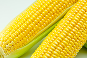 トウモロコシ