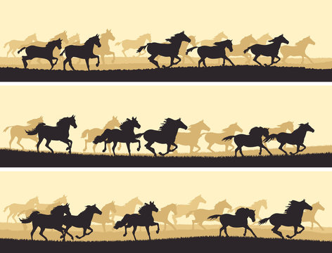 Horizontal banners herd of horses.