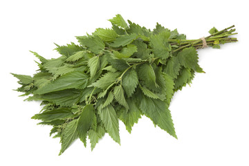 Bunch of stinging  nettles