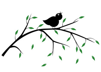 singvogel auf ast