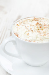 cocoa with cinnamon and whipped cream close-up