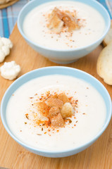 cold cauliflower soup with croutons and cheese, close-up