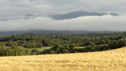 Wheat fields, forests and mountains