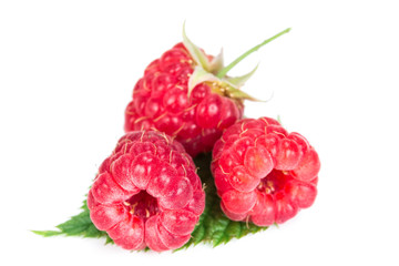 Three raspberries isolated on white background