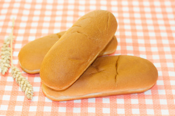 pains hot dog