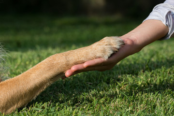 Stratta di mano