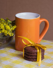 Chocolate  cookies and milk, selective focus