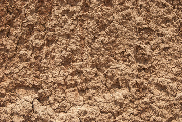 Red dry clay loam closeup as background - obrazy, fototapety, plakaty