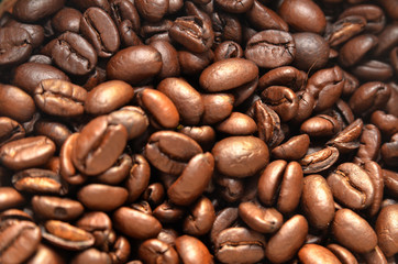Coffee bean