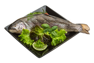 Fresh raw rainbow trout