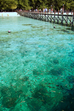 Pom Pom Island Malesia