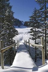 Brücke in Winterlandschaft