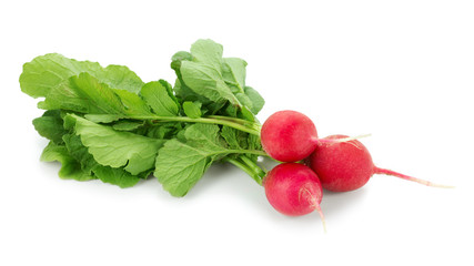 Fresh red radish