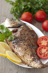Fried (roasted) Fish (Dorado) Garnished with Lemon, Tomato