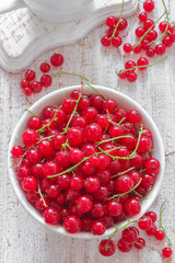 Red currant
