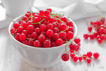 Red currant