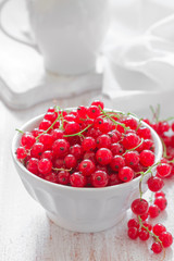Red currant