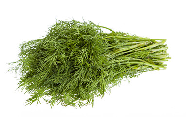 Fresh dill isolated on white background