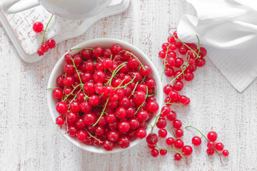 Red currant