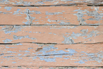 Old painted wood wall - texture or background