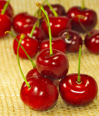 ripe cherries