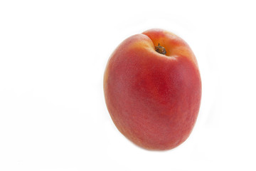 Einzelne Aprikose auf weißem Hintergrund