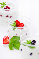 Homemade Yogurt