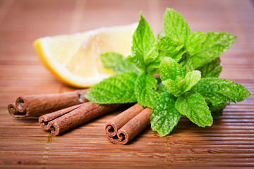 Mint And Cinnamon