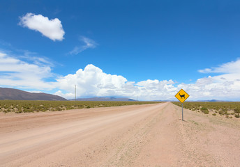 Road with warning sign of the appearance of llamas