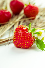 Erdbeeren