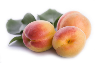 ripe apricots