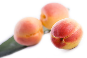 orange and red apricot