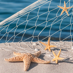 Seesterne, Sommerurlaub, Urlaubserinnerungen