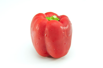 新鮮なパプリカ