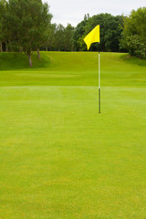 Obraz premium Golf Course
