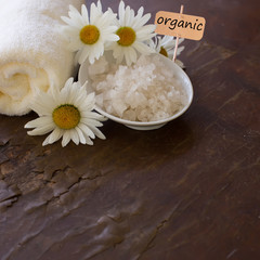 Obraz na płótnie Canvas Spa products on wooden background. Sea salt with natural compone